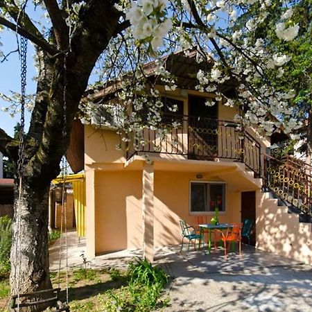 Cherry Tree Art House Белград Екстер'єр фото