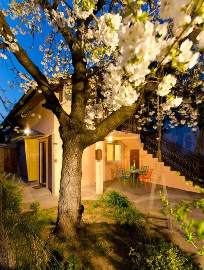 Cherry Tree Art House Белград Екстер'єр фото